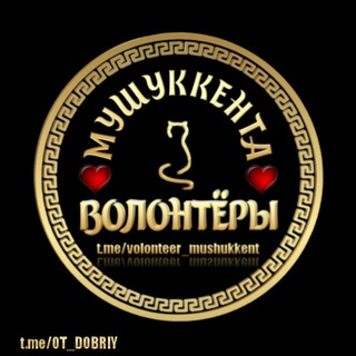 Логотип канала volonteer_mushukkent