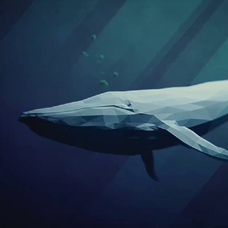 Логотип канала whale_friend