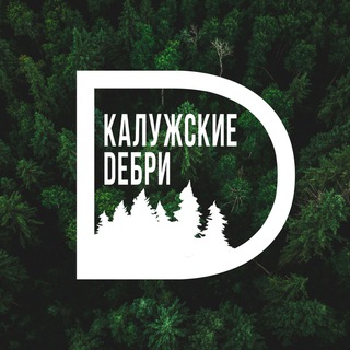 Логотип канала kaluga_debri