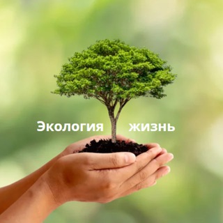 Логотип lifeecology