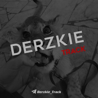 Логотип derzkie_track