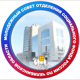 Логотип канала msosfrchelobl