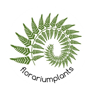 Логотип канала florariumlants