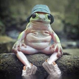 Логотип frogpost