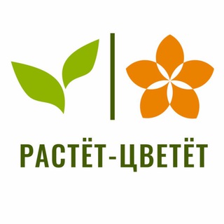 Логотип канала rastcvet