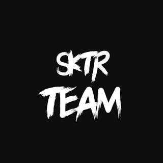 Логотип канала teamsktr