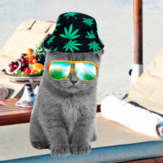 Логотип канала holoda2