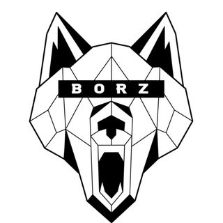 Логотип канала borzwear