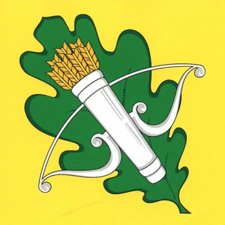 Логотип admkolish