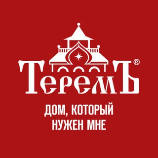 Логотип terem_pro