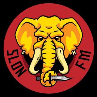 Логотип канала slon_fm_nasv