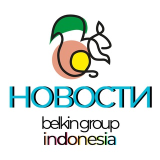 Логотип канала belkin_news_indonesia