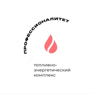 Логотип bnk_professionalitet