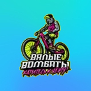 Логотип канала velovombat_chat