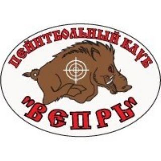 Логотип vepr_paintball