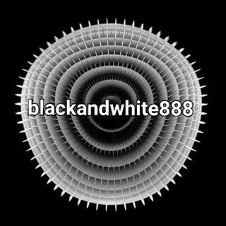 Логотип канала blackandwhite888