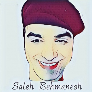 Логотип salehbehmanesh