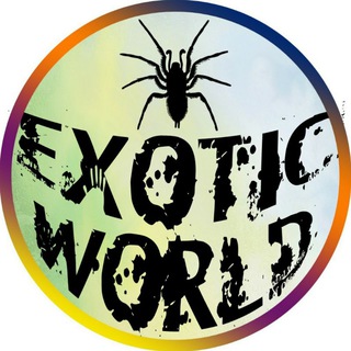 Логотип канала ex0t1cw0rld