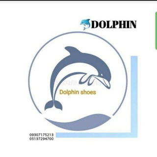 Логотип канала shoesdolphin2020