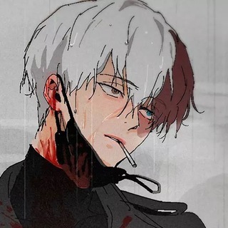 Логотип канала sshoto_todoroki