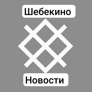 Логотип канала shebekino_info