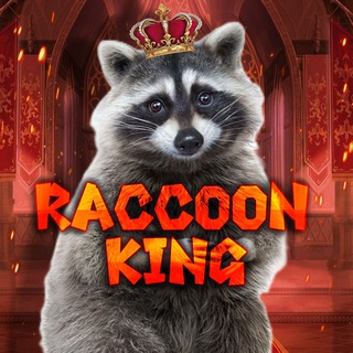 Логотип канала raccoons_rule_the_world