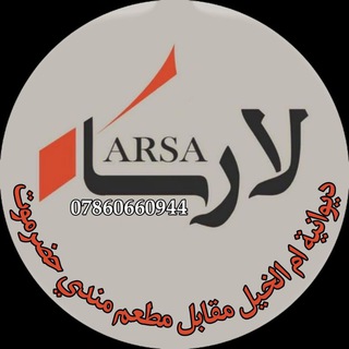 Логотип канала larsa_institute