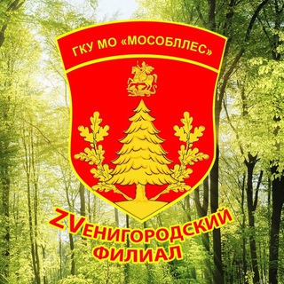 Логотип канала zvenigorodskoelesnichestvo