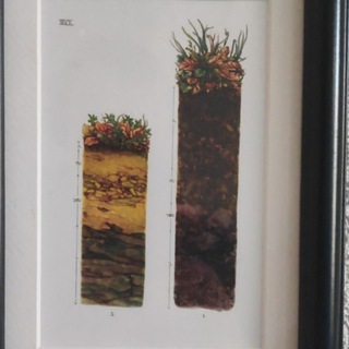 Логотип канала werkeneu