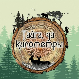 Логотип taiga_da_kilometri