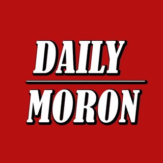 Логотип канала dailymoron