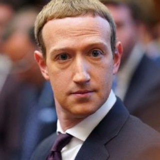 Логотип канала pliushki_zuckerberga