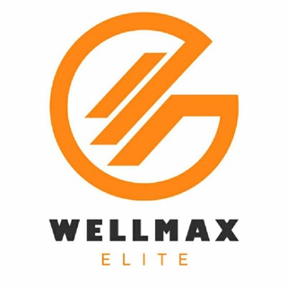 Логотип канала wellmaxinfo