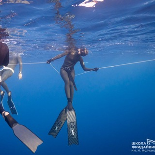 Логотип freedive_vl