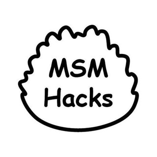 Логотип msm_hacks