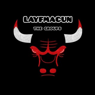 Логотип layfmacun