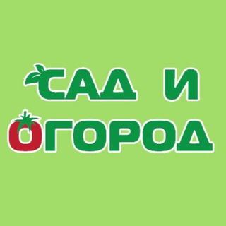 Логотип канала sadiogorodklin