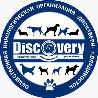 Логотип канала pkkos_discovery