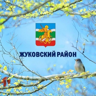 Логотип канала zhukovsky_region_news