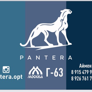 Логотип канала panteraopto