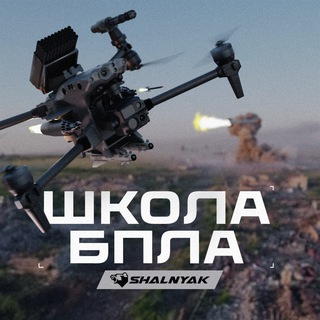 Логотип канала Shalnyak_Aerograd