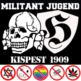 Логотип канала militantjugend