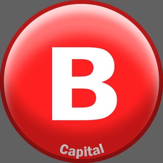 Логотип bedolaga_capital