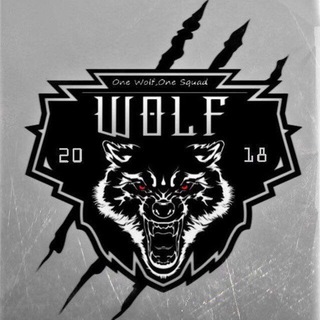 Логотип канала wolf_team_esports