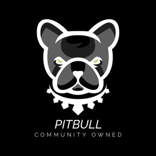 Логотип канала PitbullBSC