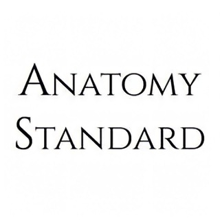 Логотип anatomy_standard