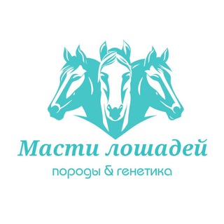 Логотип канала horse_info