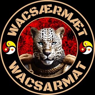 Логотип канала wacsarmat