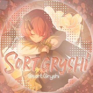 Логотип канала sortgryshi