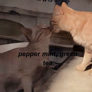 Логотип канала peppermintgreenteatg